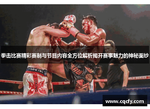 拳击比赛精彩赛制与节目内容全方位解析揭开赛事魅力的神秘面纱