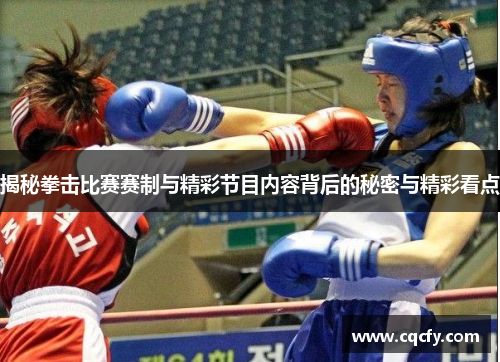 揭秘拳击比赛赛制与精彩节目内容背后的秘密与精彩看点