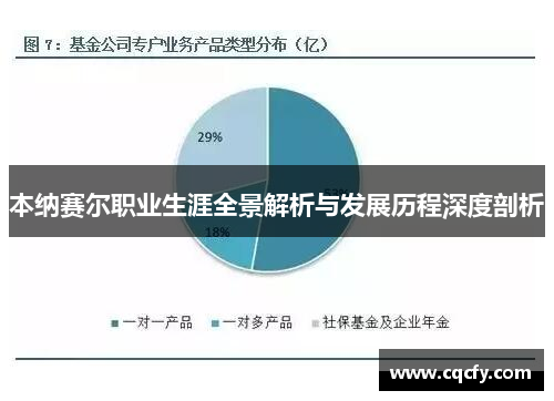 本纳赛尔职业生涯全景解析与发展历程深度剖析 本纳赛尔职业生涯全景解析与发展历程深度剖析