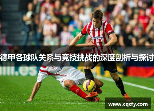 德甲各球队关系与竞技挑战的深度剖析与探讨