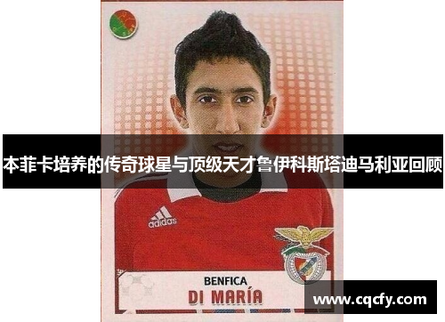 本菲卡培养的传奇球星与顶级天才鲁伊科斯塔迪马利亚回顾