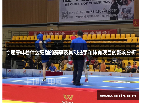 夺冠意味着什么级别的赛事及其对选手和体育项目的影响分析