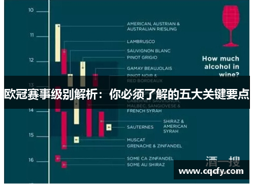 欧冠赛事级别解析：你必须了解的五大关键要点